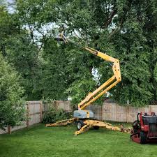 Artificial Turf Installation in Grandview, TX